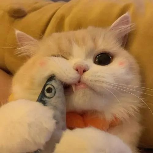 Georgina Wilson avatar