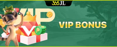 VIP bonus member rewards